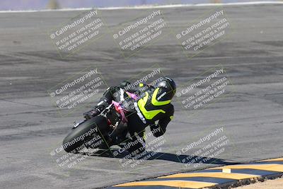 media/Feb-04-2024-SoCal Trackdays (Sun) [[91d6515b1d]]/4-Bowl Backside (11am)/